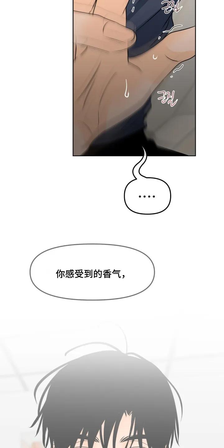 香味的边界 - 第120章：【第二季】感受到香气 - 第24张图