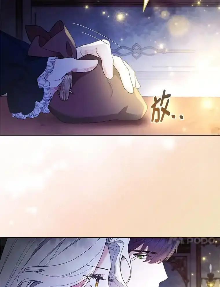 《大公家的狐狸皇女》56.祝你好运 第120页