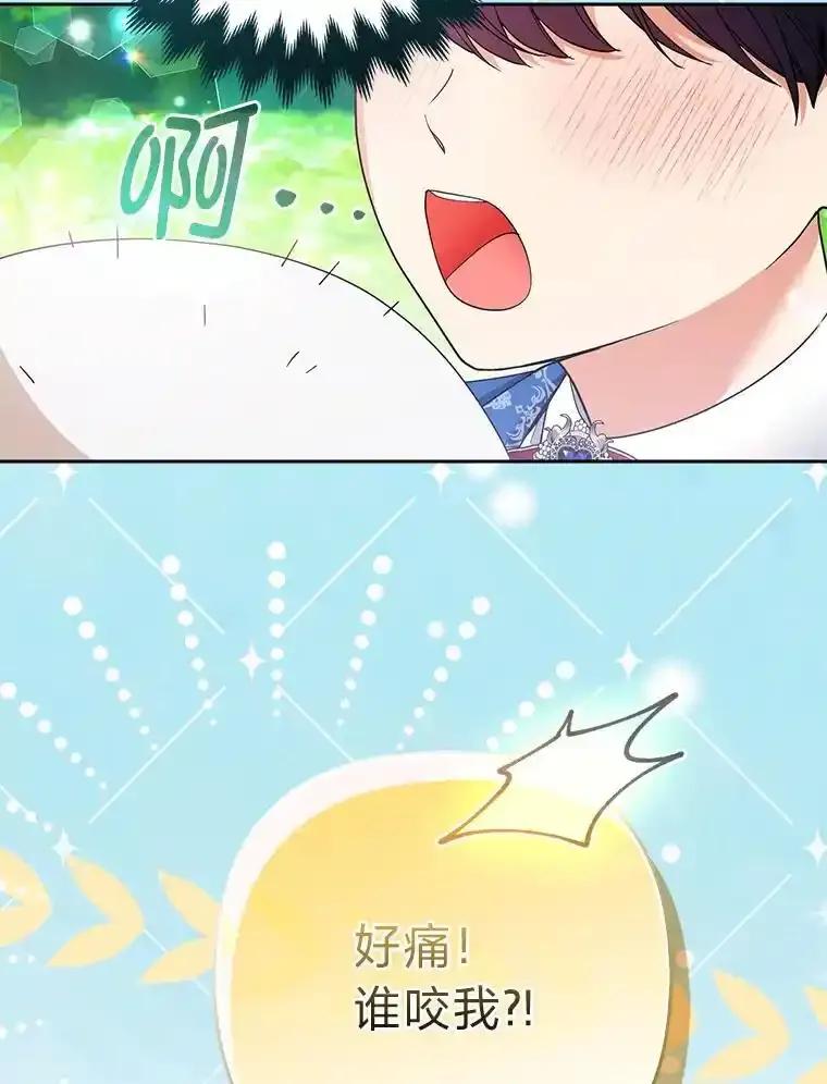 《大公家的狐狸皇女》57.求婚情书 第34页