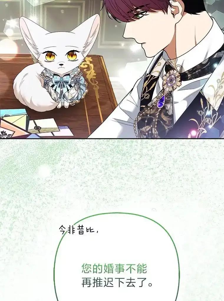 《大公家的狐狸皇女》57.求婚情书 第82页