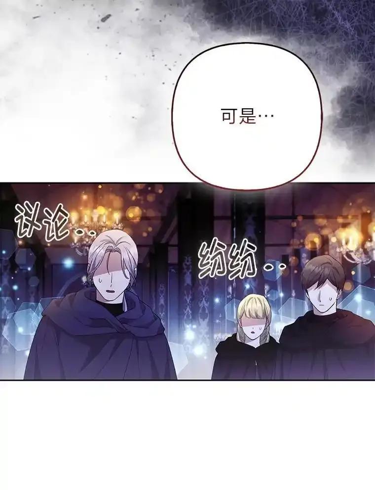 《大公家的狐狸皇女》57.求婚情书 第100页