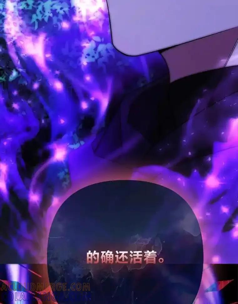 《大公家的狐狸皇女》57.求婚情书 第117页