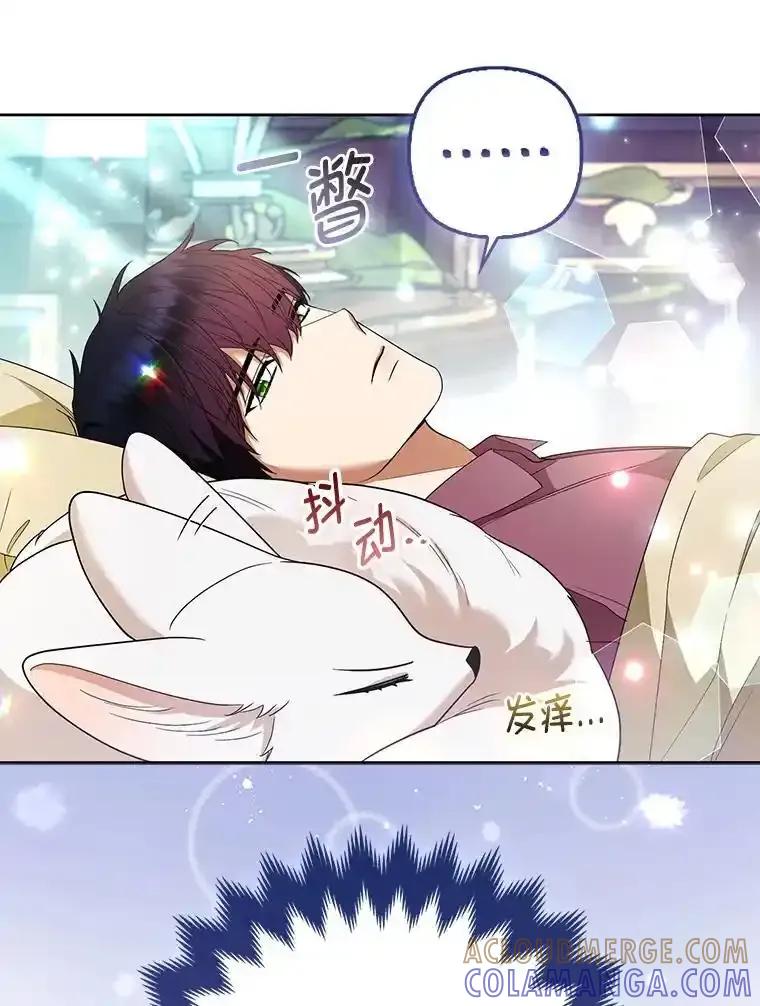 《大公家的狐狸皇女》57.求婚情书 第37页