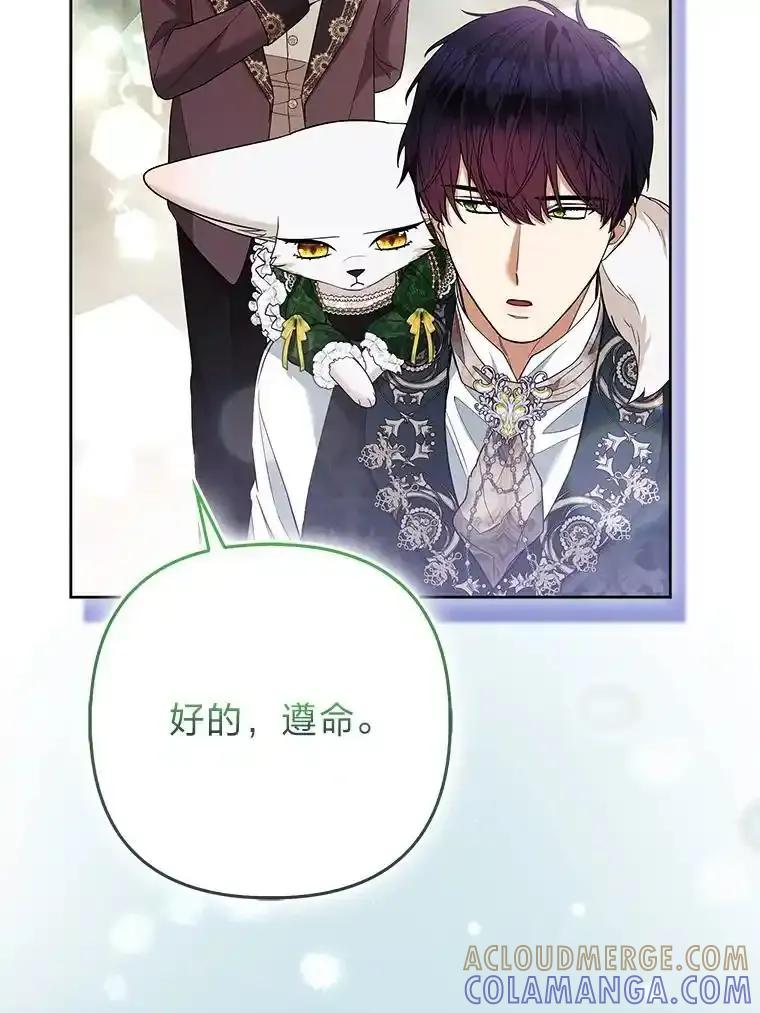 《大公家的狐狸皇女》57.求婚情书 第65页