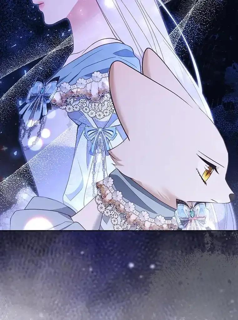 《大公家的狐狸皇女》57.求婚情书 第87页