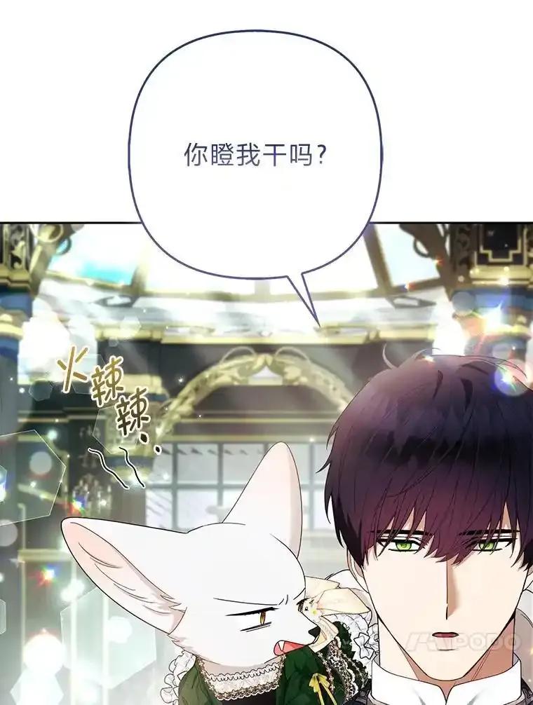 《大公家的狐狸皇女》57.求婚情书 第44页