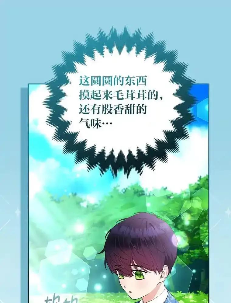 《大公家的狐狸皇女》57.求婚情书 第32页