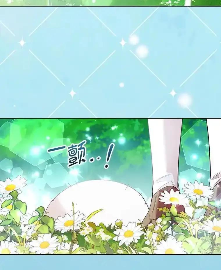 《大公家的狐狸皇女》57.求婚情书 第30页