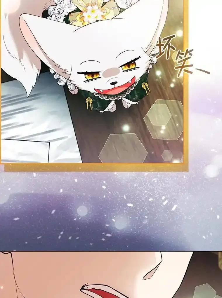 《大公家的狐狸皇女》57.求婚情书 第71页