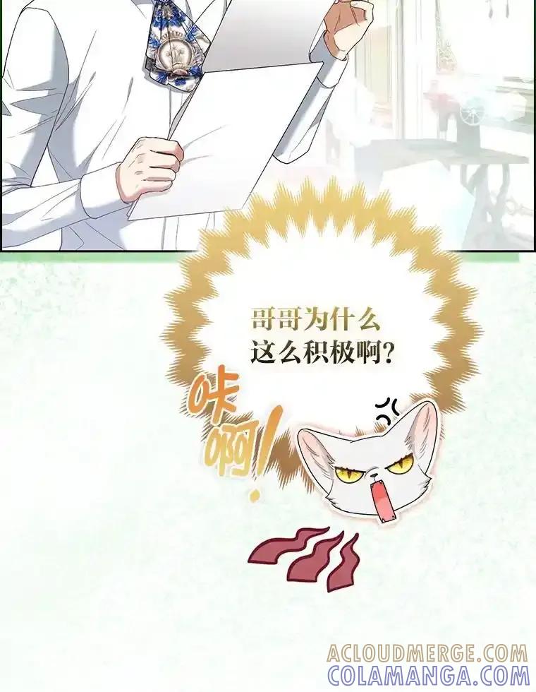 《大公家的狐狸皇女》58.筹备相亲宴会 第81页