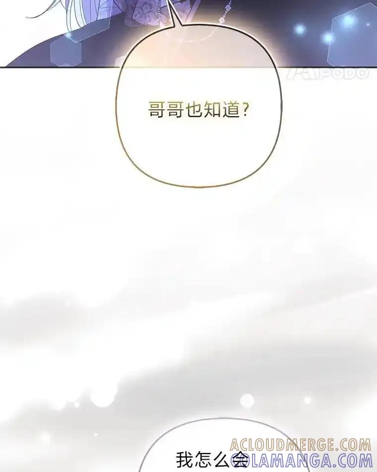 《大公家的狐狸皇女》58.筹备相亲宴会 第29页