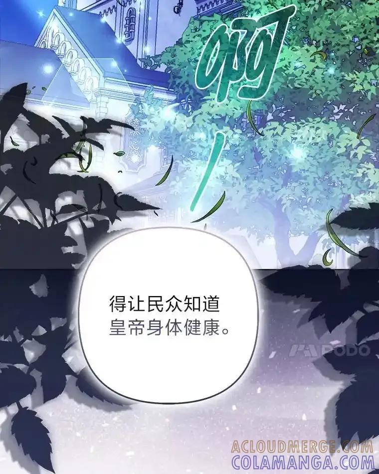 《大公家的狐狸皇女》58.筹备相亲宴会 第25页