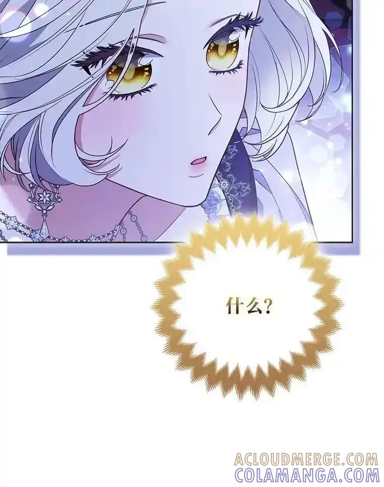 《大公家的狐狸皇女》58.筹备相亲宴会 第45页
