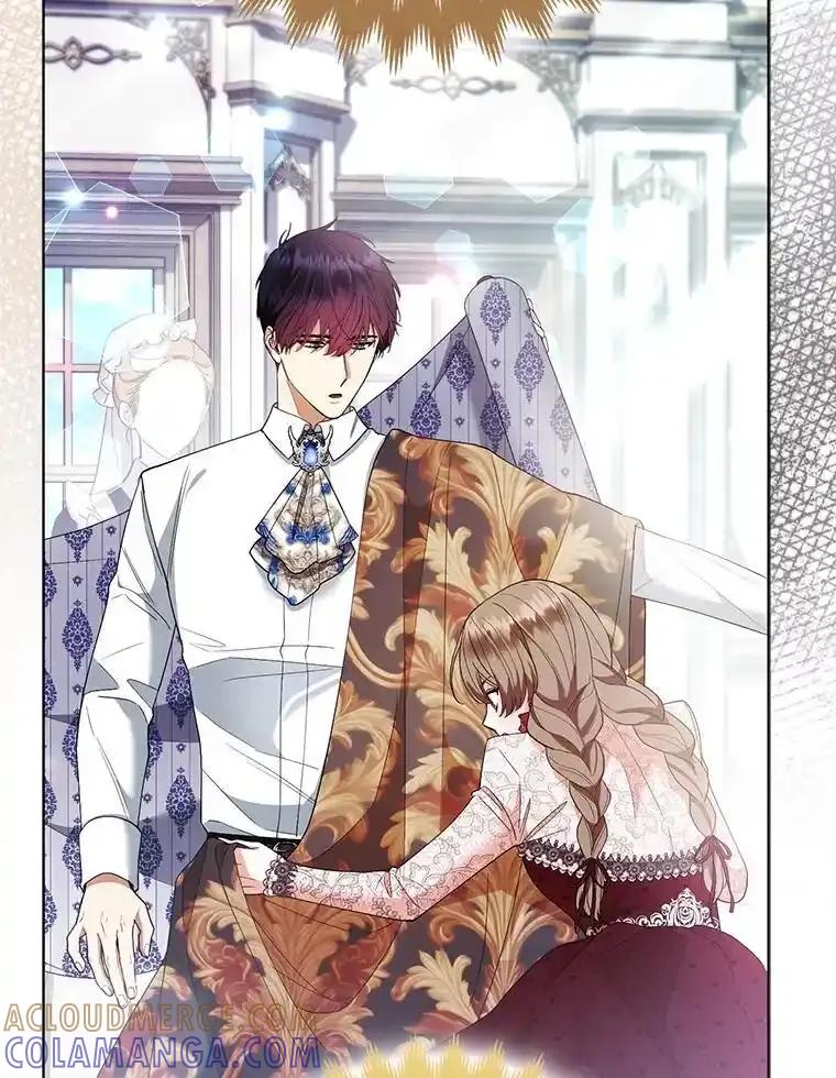《大公家的狐狸皇女》58.筹备相亲宴会 第73页