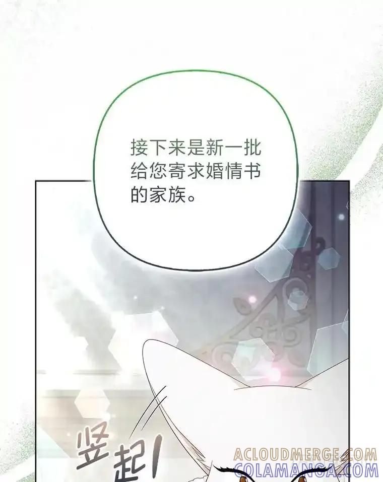《大公家的狐狸皇女》58.筹备相亲宴会 第101页