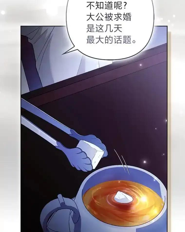 《大公家的狐狸皇女》58.筹备相亲宴会 第30页