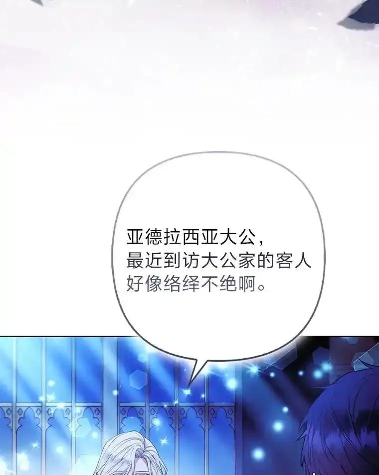 《大公家的狐狸皇女》58.筹备相亲宴会 第26页