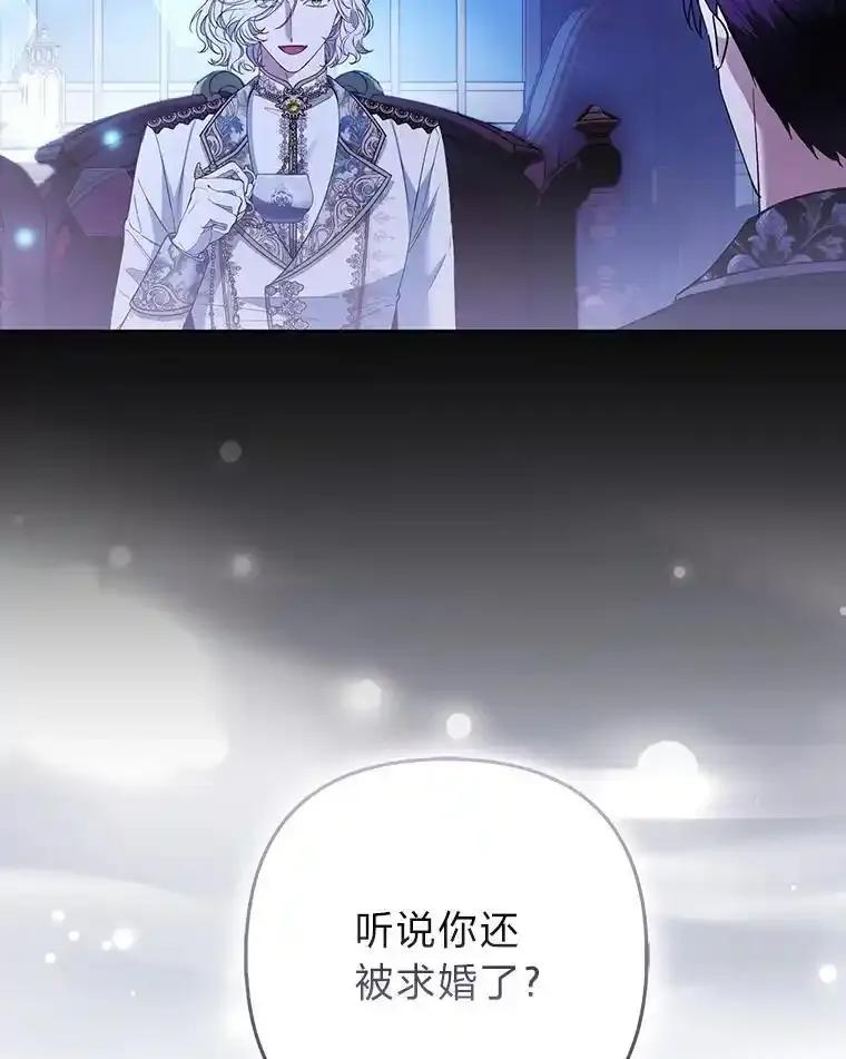 《大公家的狐狸皇女》58.筹备相亲宴会 第27页