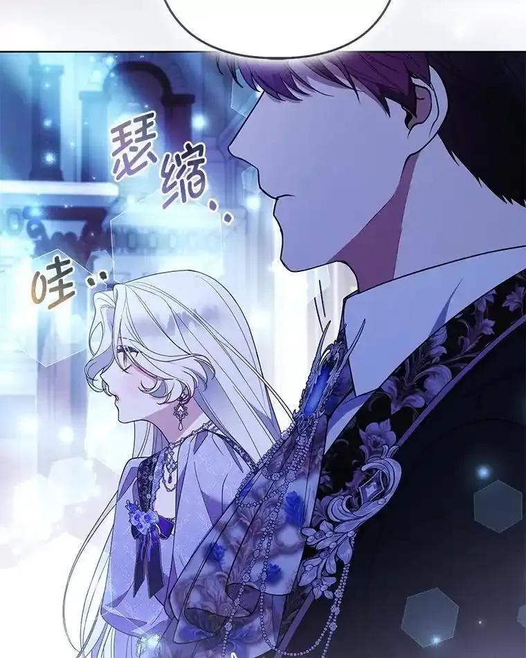 《大公家的狐狸皇女》58.筹备相亲宴会 第28页