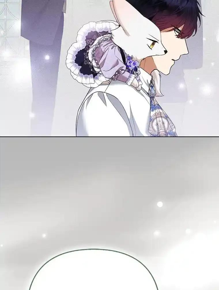 《大公家的狐狸皇女》58.筹备相亲宴会 第94页
