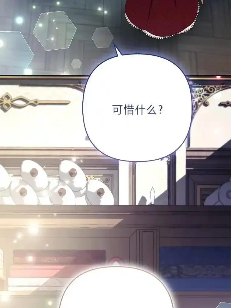《大公家的狐狸皇女》58.筹备相亲宴会 第64页