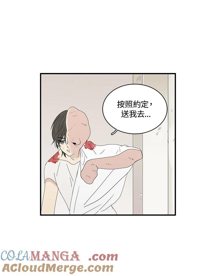 《梅蒂纳》第82话 第25页