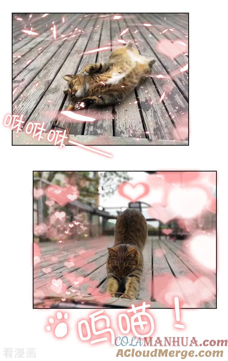 纯情陆少 - 第35话 他又双叒叕来了！ - 第61张图