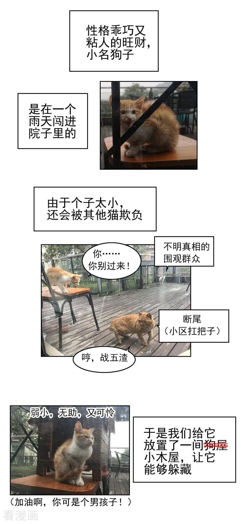 纯情陆少 - 第40话 和解 - 第57张图