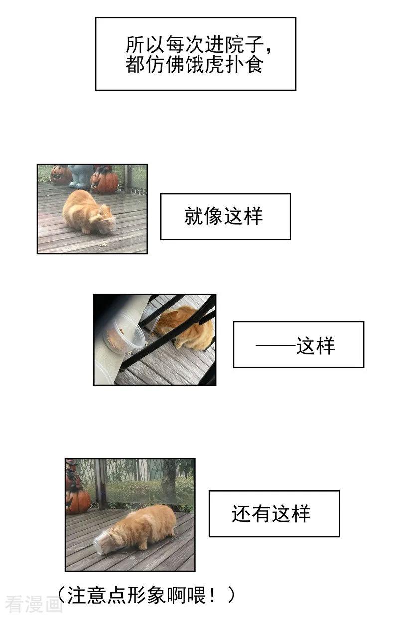 纯情陆少 - 第40话 和解 - 第56张图