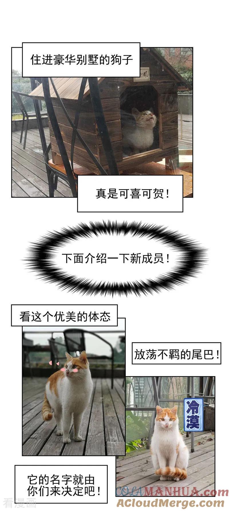 纯情陆少 - 第41话 鱼儿上钩！ - 第27张图