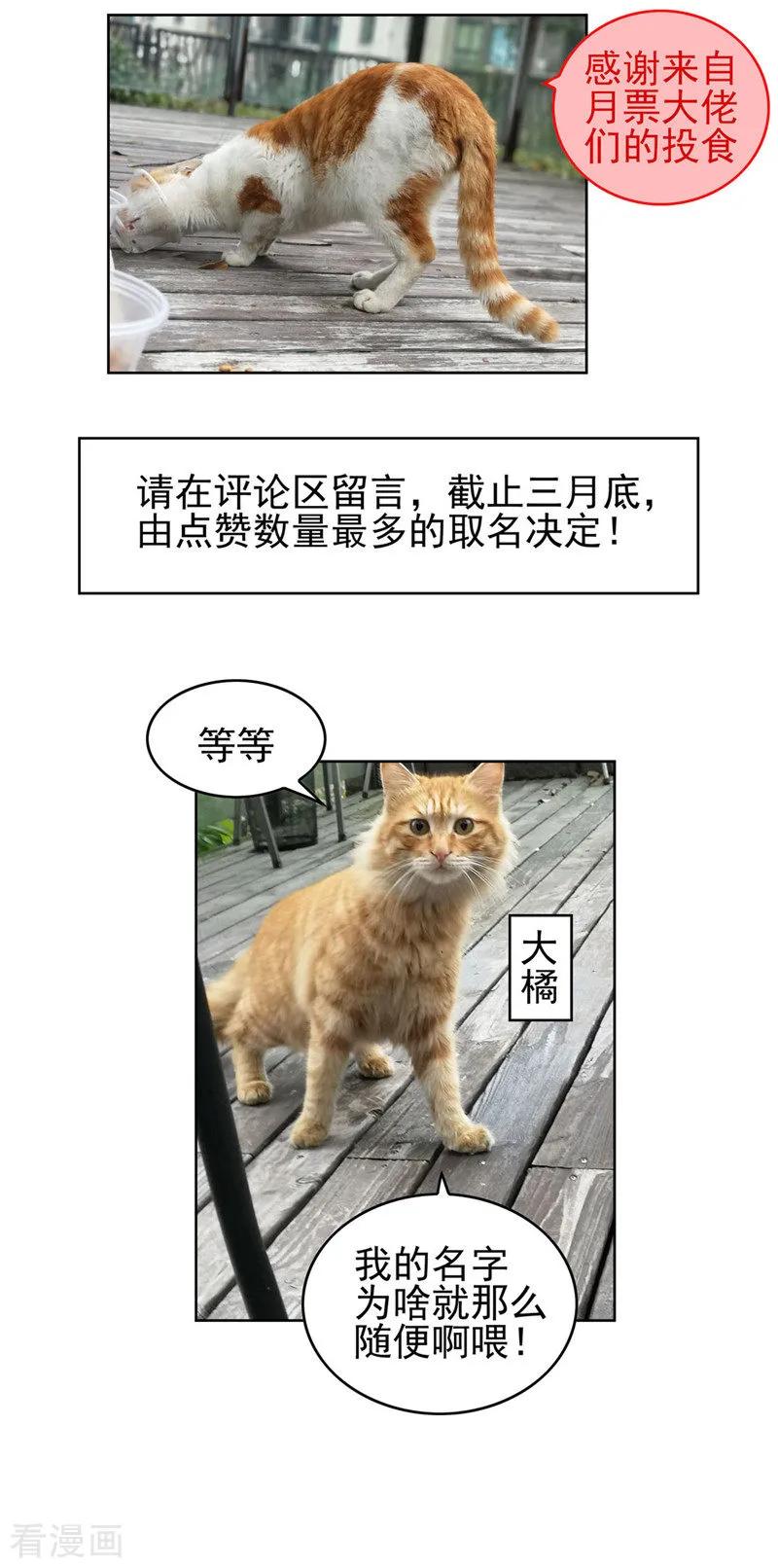 纯情陆少 - 第41话 鱼儿上钩！ - 第28张图