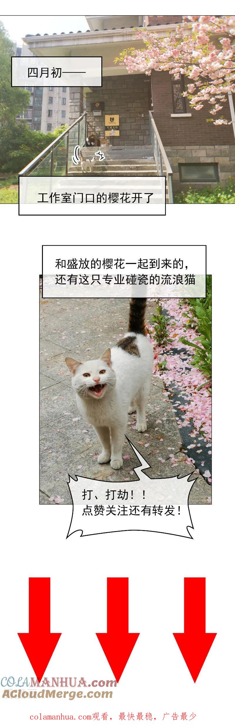 纯情陆少 - 第52话 史密斯家族 - 第29张图