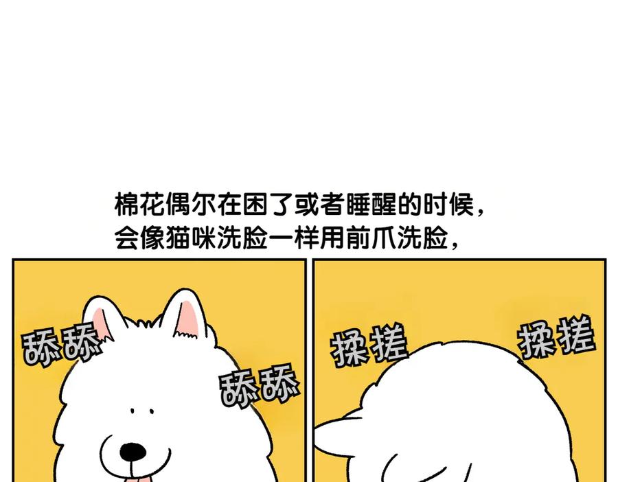 《我的狗子叫棉花》第44话 治疗眼病(3) 第27页