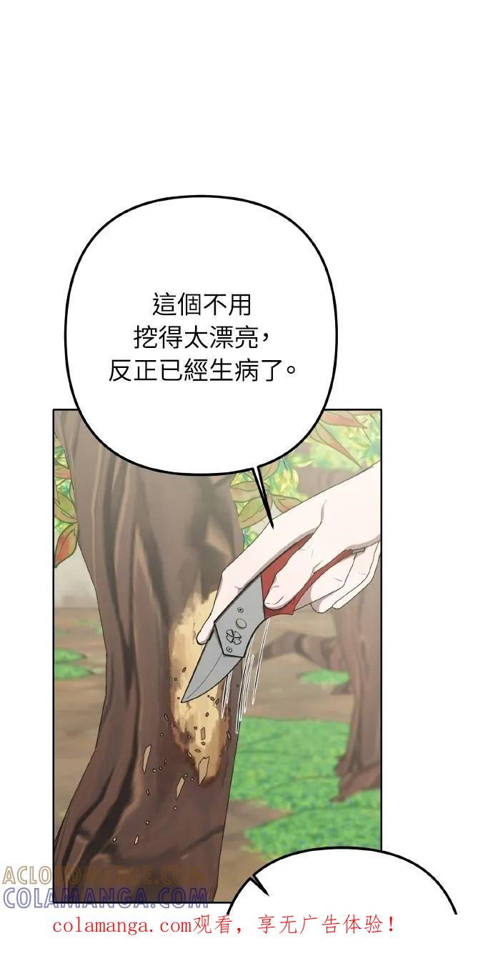 《春之影》第3话 第1页