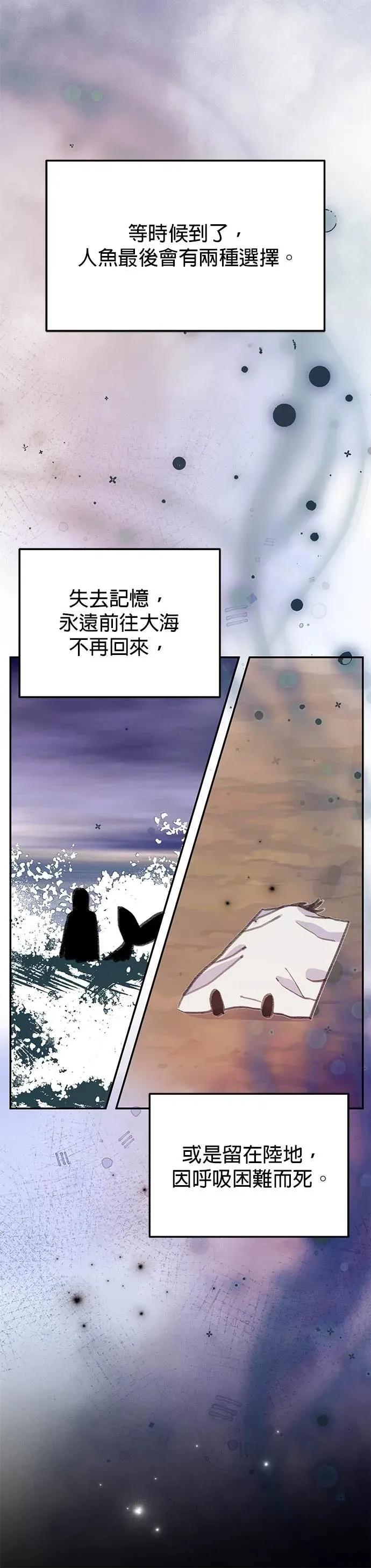 《我亲爱的人鱼先生》第47话 寻找祕密的人鱼 第15页