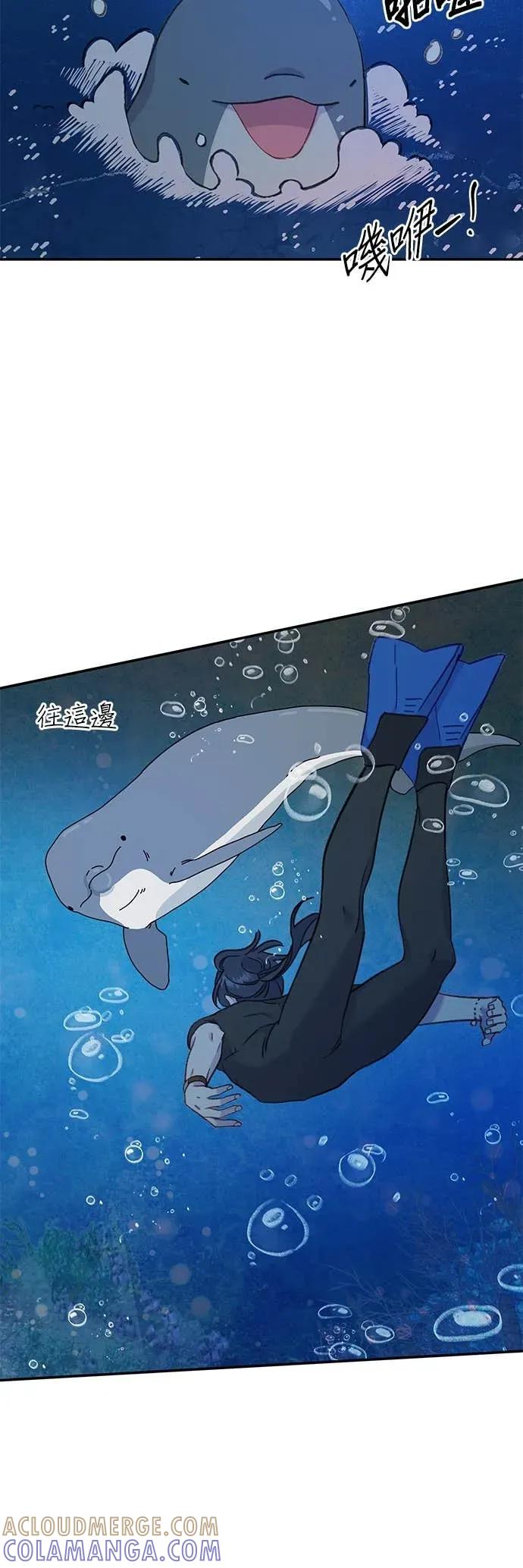 《我亲爱的人鱼先生》第51话 寻找宝物的人鱼 第10页