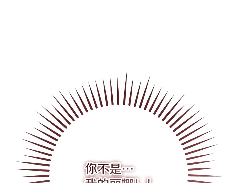 冒牌圣女等待离场 第83话 最后一个愿望 第163页