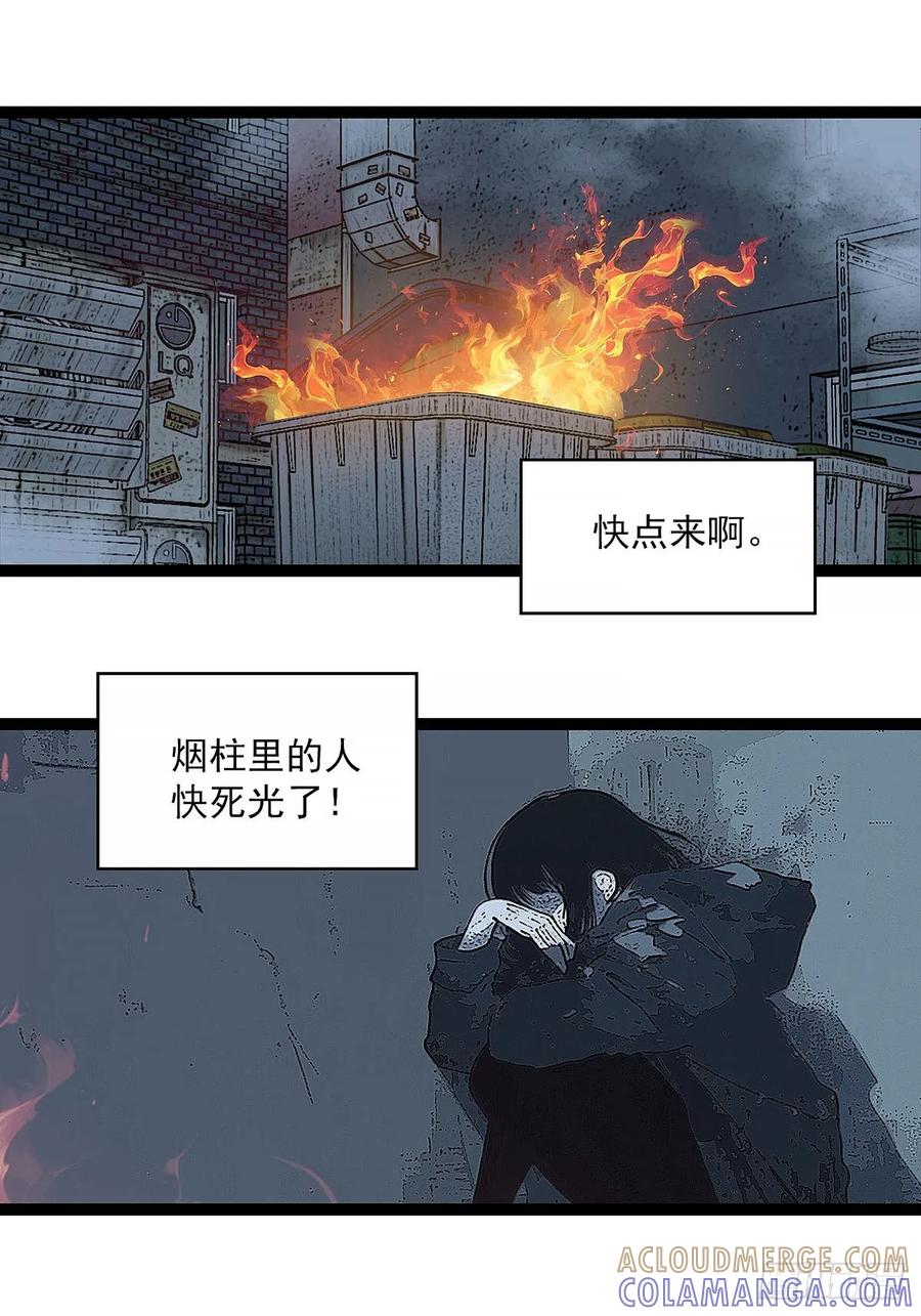 《王炸》野生入境者 第5页