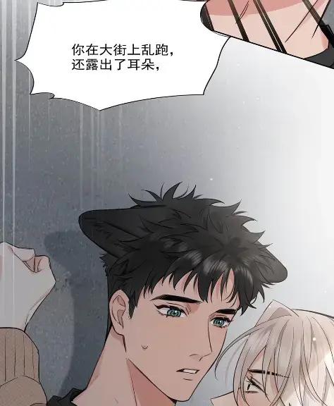 《狼君想对我负责》014 我只是失忆了。 第45页