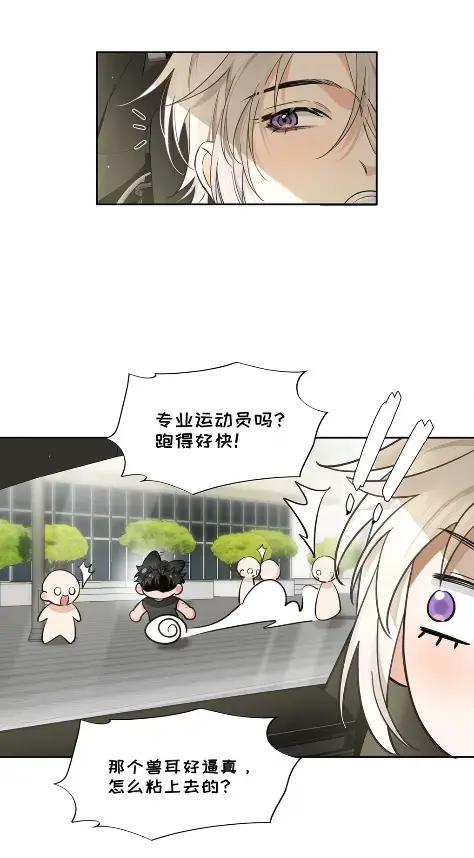 《狼君想对我负责》014 我只是失忆了。 第27页