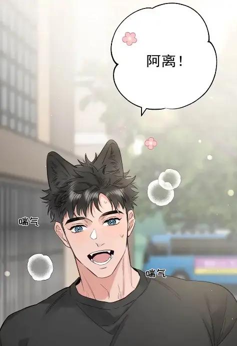 《狼君想对我负责》014 我只是失忆了。 第33页