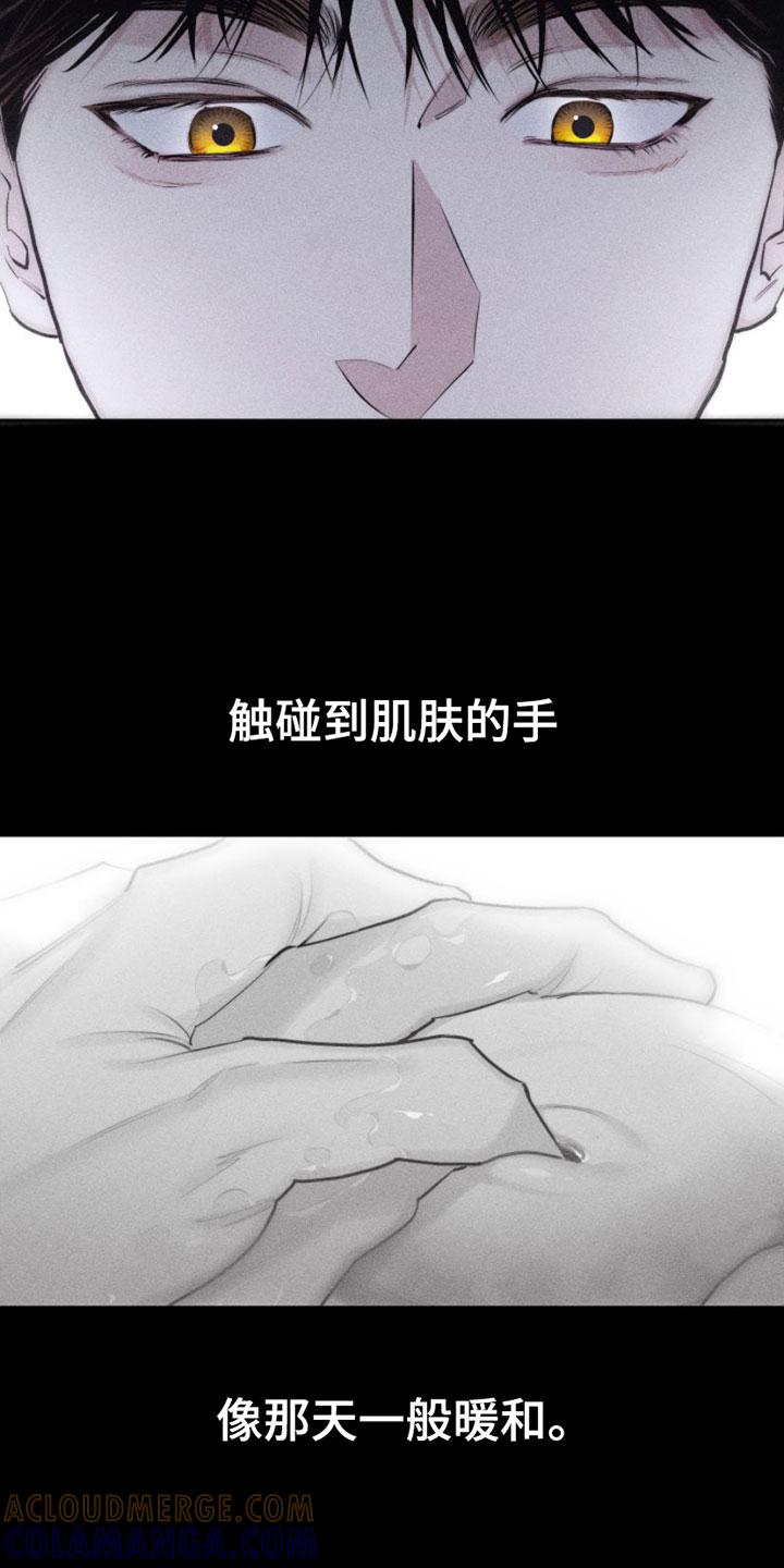 《瓷器》第6章：车里 第17页