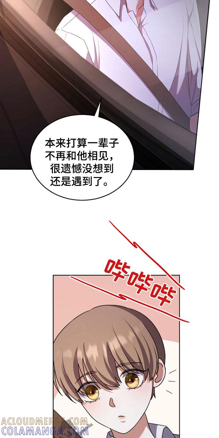 《双重血脉》第66章：污染度升高 第13页