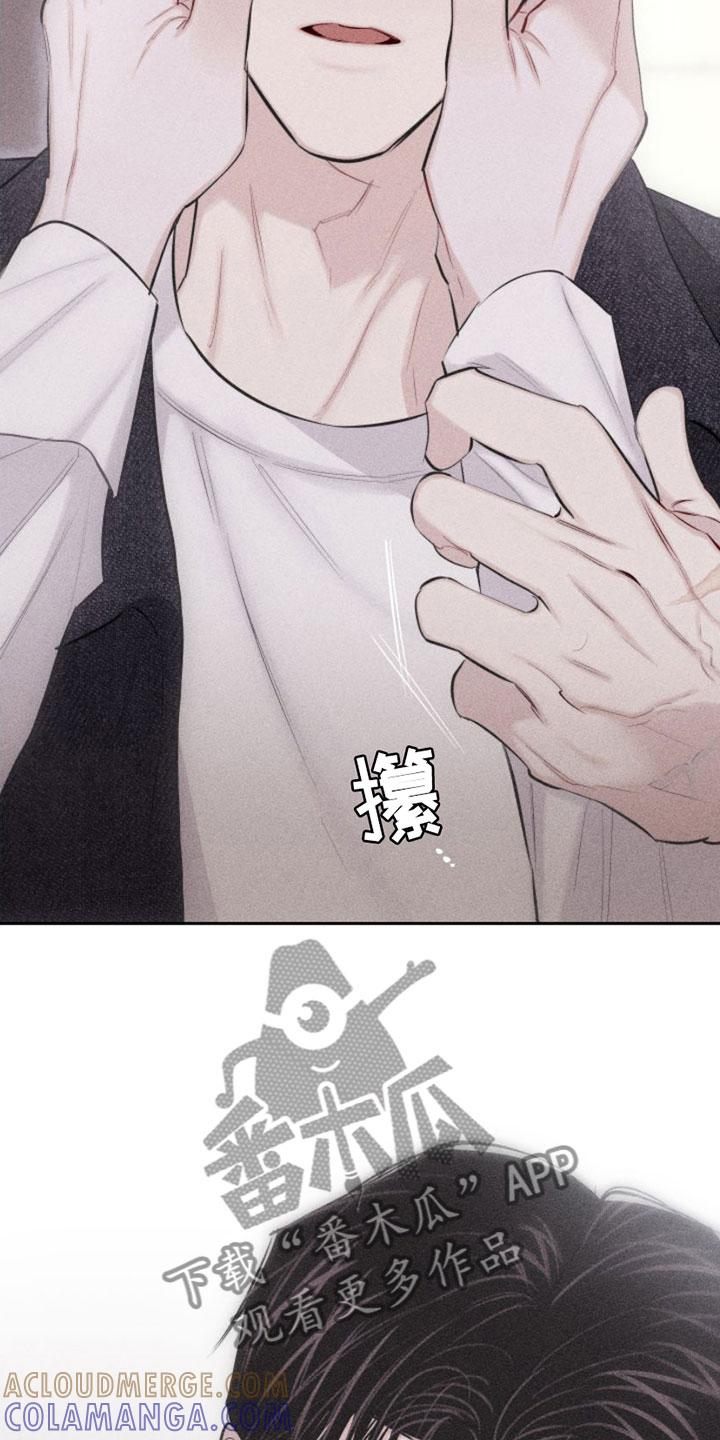 《瓷器》第9章：第一顺位 第5页