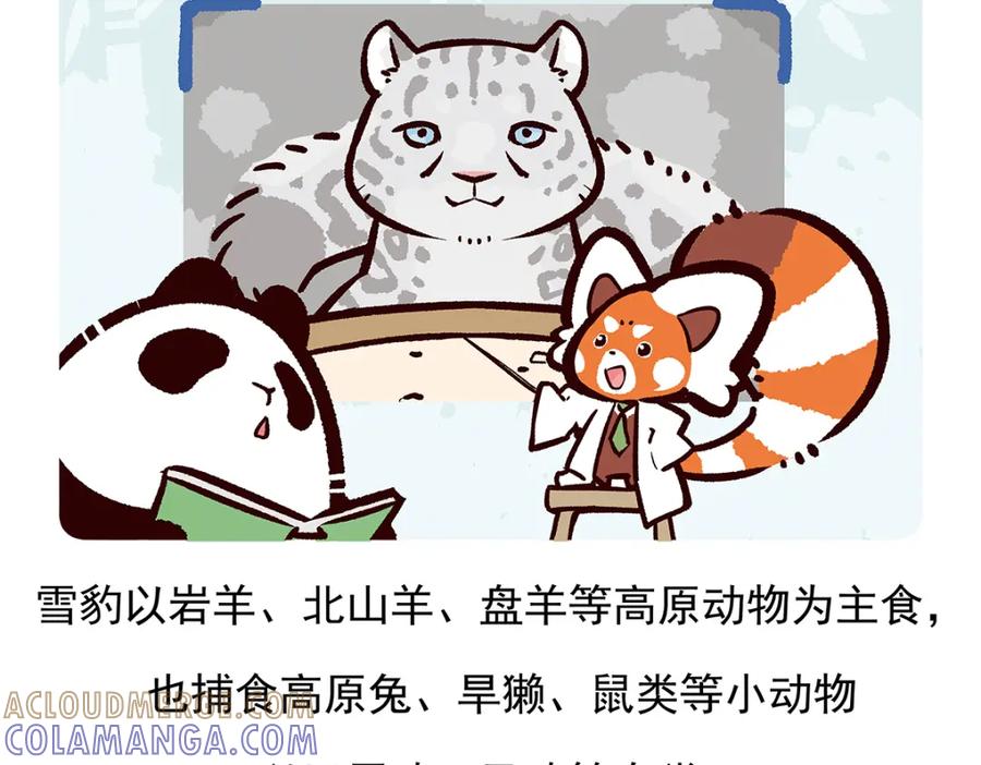 《胖达x胖达》第96话 第21页