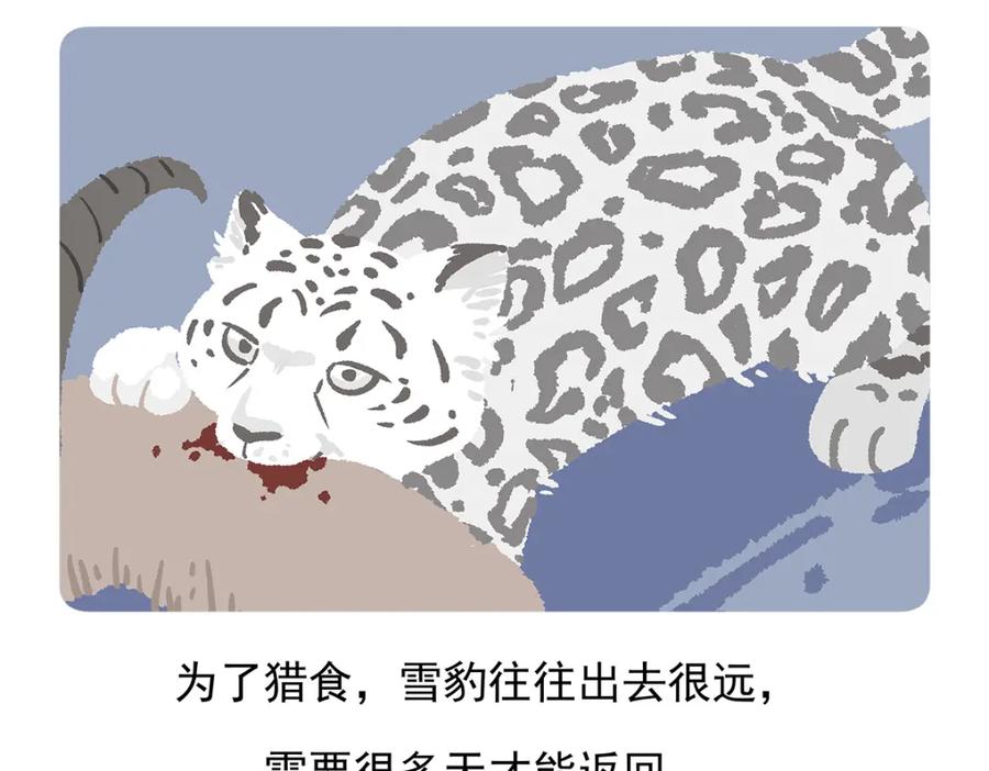 《胖达x胖达》第96话 第24页