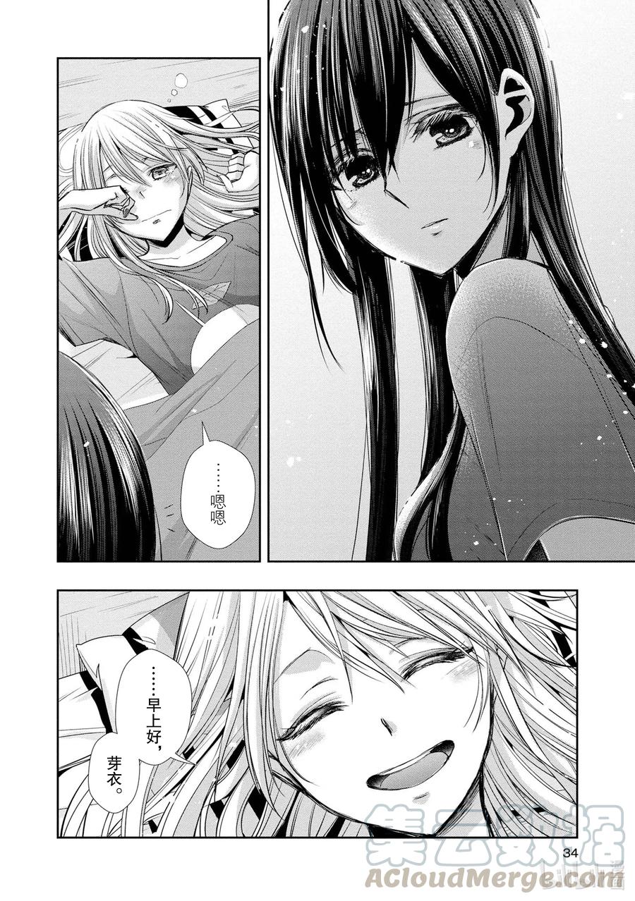 《citrus 柑橘味香气》Ⅱ-1 5月27日 第33页