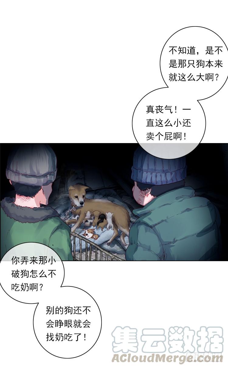 次元战争·红龙 恶之种（上） 第11页