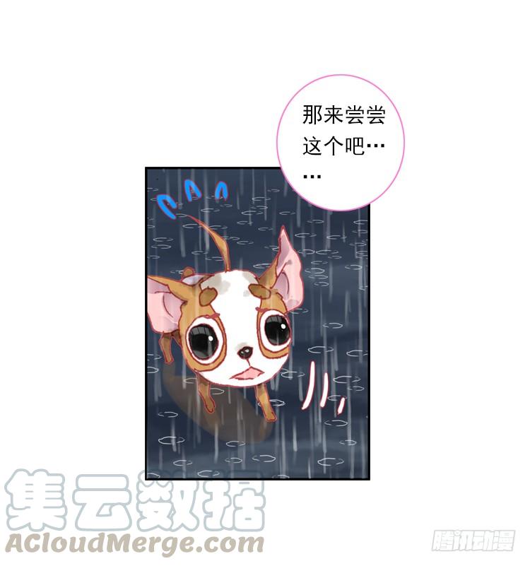 次元战争·红龙 恶之种（下） 第21页