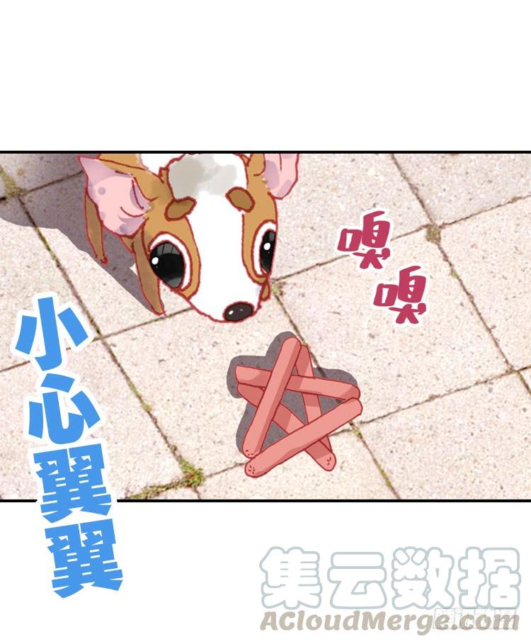 次元战争·红龙 那渐渐逝去的离别（下） 第1页